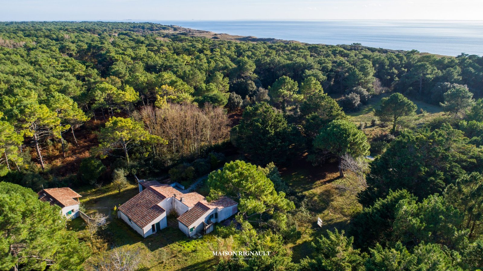 Île de Ré / Le Bois-Plage-en-Ré